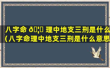 八字命 🦊 理中地支三刑是什么（八字命理中地支三刑是什么意思 🐠 ）